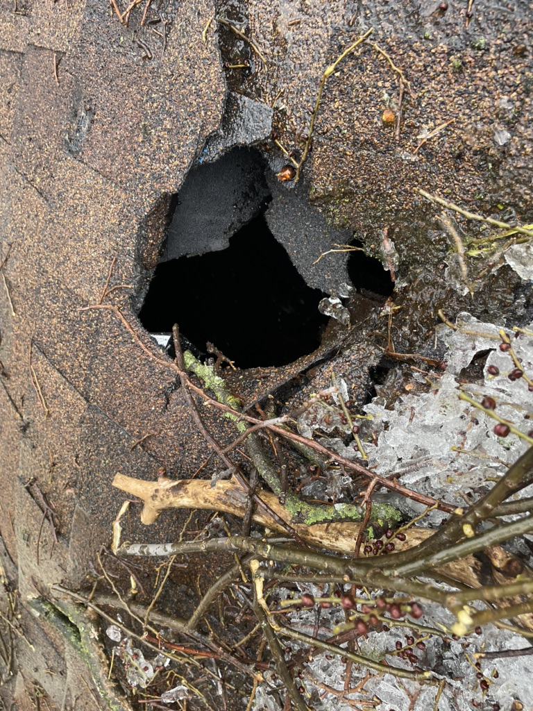 storm_damage